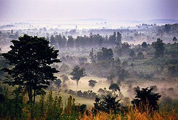 Вирунга. Африка.